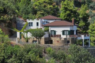Villa Milma - Città di Skopelos - 4