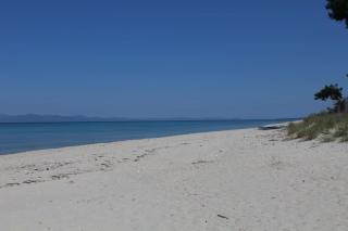 50 metres from the beach - Hanioti - 0