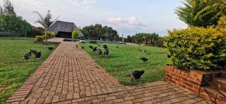 Ka Tembe Self Catering Lodge - Polokwane - 9