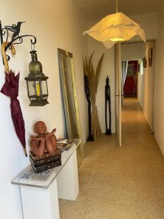 MasAupellière la petite Camargue - 7