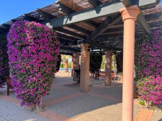 Isla Canela Golf Pradogolf - Huelva - 8