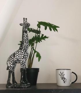 LE GITE DE LA GIRAFE CENTRE VILLE LOUVIERS - Louviers - 9