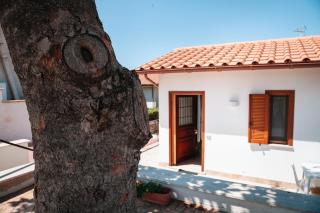 Magnolia Rooms - Civitavecchia - 1
