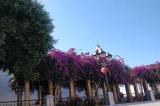 Charming studio in Tazacorte - 3