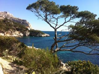 Cabanon aux Goudes Marseille calanques - Marsiglia - 1