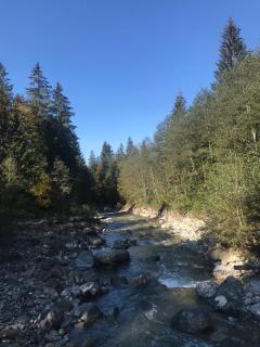 Ferienwohnung Morgentau am Rande der Wildnis - 1