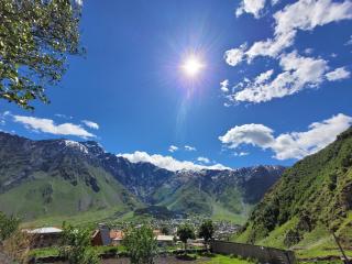 Pine Chalet Kazbegi - 1
