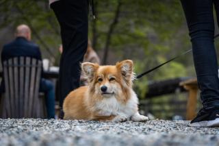 PORTAL Village Only Adults - 1