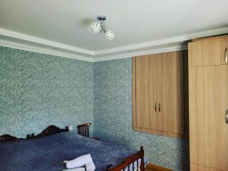 Family hotel mountain panorama - Borjomi - 3