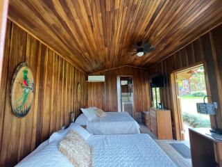 Pitangus Lodge - Chachagua - 5