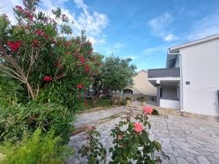 Apartments Crnko, 50m from the beach with free parking and drinkable tap water - Vir - 9