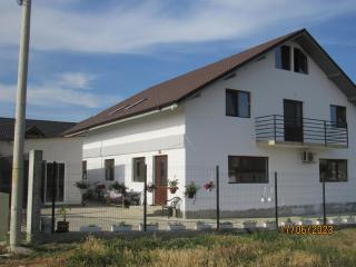 Dă-i pace mai - Corbu - 0