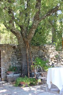 La Petite Auberge - Tourtour - 3