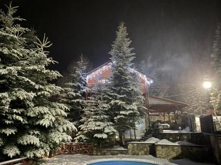 VIP HOUSES Карпати Мигово - Myhove - 0