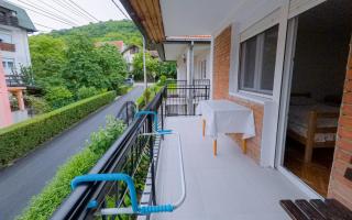 APARTMANI SIMONOVIC 2 - Soko Banja - 8