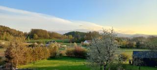 Domek pod borówką - 9