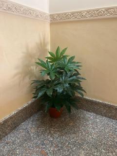 Don Bosco - 1