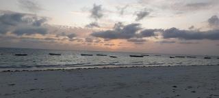 Beach breeze at your doorstep - Jambiani - 2