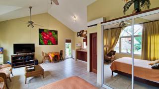 Ocean Dream 1st See Line Studio - Cabarete - 2