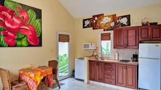 Ocean Dream 1st See Line Studio - Cabarete - 6