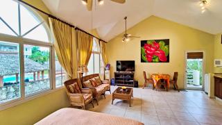 Ocean Dream 1st See Line Studio - Cabarete - 9
