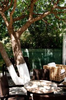 Aphrodite Samos Suites - Marathokampos - 1