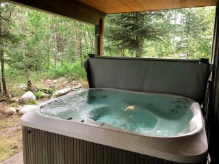 Magic McCall Cabin and Studio for Larger Groups wi - McCall - 7