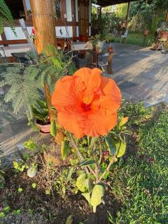 Casa de campo con piscina en Asia - 1