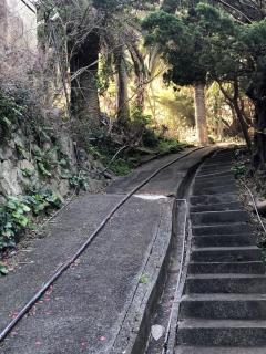 手石キャンプ場 - Minamiizu - 3