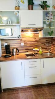 Apartman LEO Nr. 8 Lipno nad Vltavou - 4