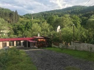 David guest house LOFT Коттеджи на берегу реки - Dilijan - 4