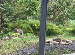 Austinville Hinterland Chalet - 5