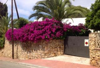 Holiday villa for rent in Tarragona - Tarragona - 8