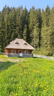 Cabana Păstrăvului - Izvoarele Sucevei - 8