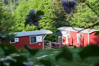 RED Tiny Houses - Voronet - 9
