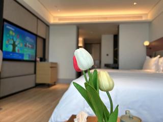 Sunstone Plaza Hotel - Binzhou - 4