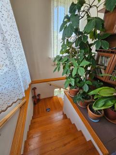 Tamari Guest House - Telavi - 8