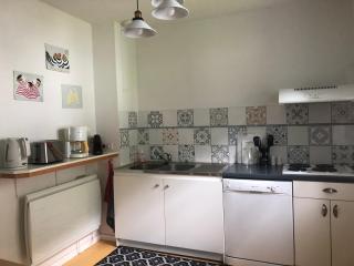 Grand appartement en RDC Vallée de Campan - Campan - 4