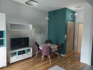 Studio 357 Cetinje - Cetinje (Cettigne) - 4