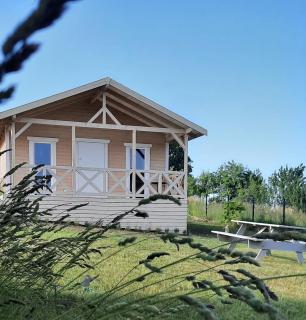 Domki Wysokie Trawy Zdory - 8