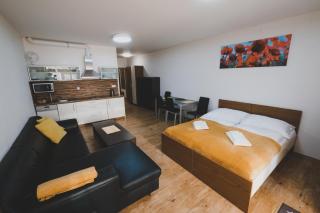 Apartmán Max Lipno - Lipno nad Vltavou - 0