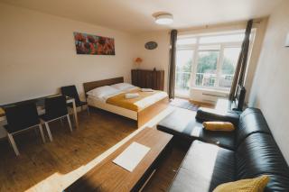 Apartmán Max Lipno - Lipno nad Vltavou - 9