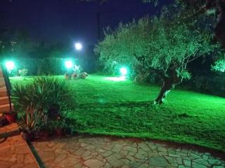 Dimitra's garden - Kalamata - 7