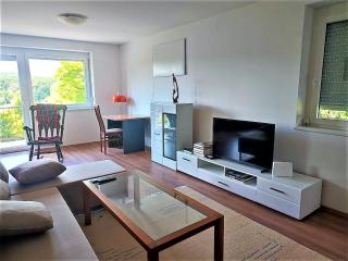 Elegant House in a Beautiful Village - Cerklje ob Krki - 0