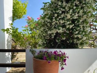 Maison de Bizou - Sifnos - 4