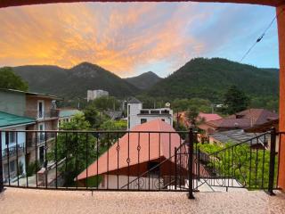 Guest house BORJOMULA - Borjomi - 0