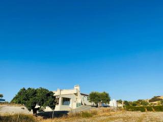 Casa na horta, planície alentejana - 4