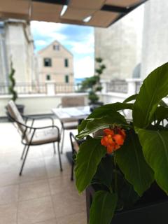 Apartments villa Mira - 0