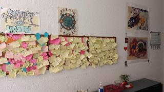Bunkhouse & Apartments - Pristina - 9