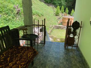 Căsuța din Pădure - Hunedoara - 2